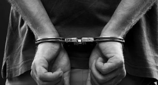 Diyadin’de 11 kişi Tutuklandı.