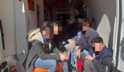 Ağrı’da 12 Göçmen Yakalandı