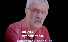 Ali Rıza Aydemir Yazdı, Üniversite Üzerinden Birkaç Kelam