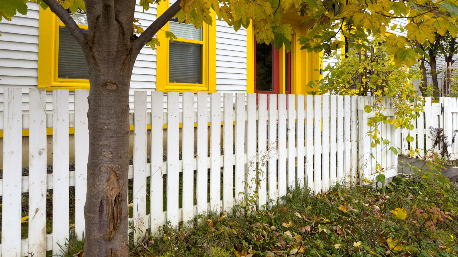 Yolda Olan Bir Ağacın Çevresi Nasıl Çitlenir?