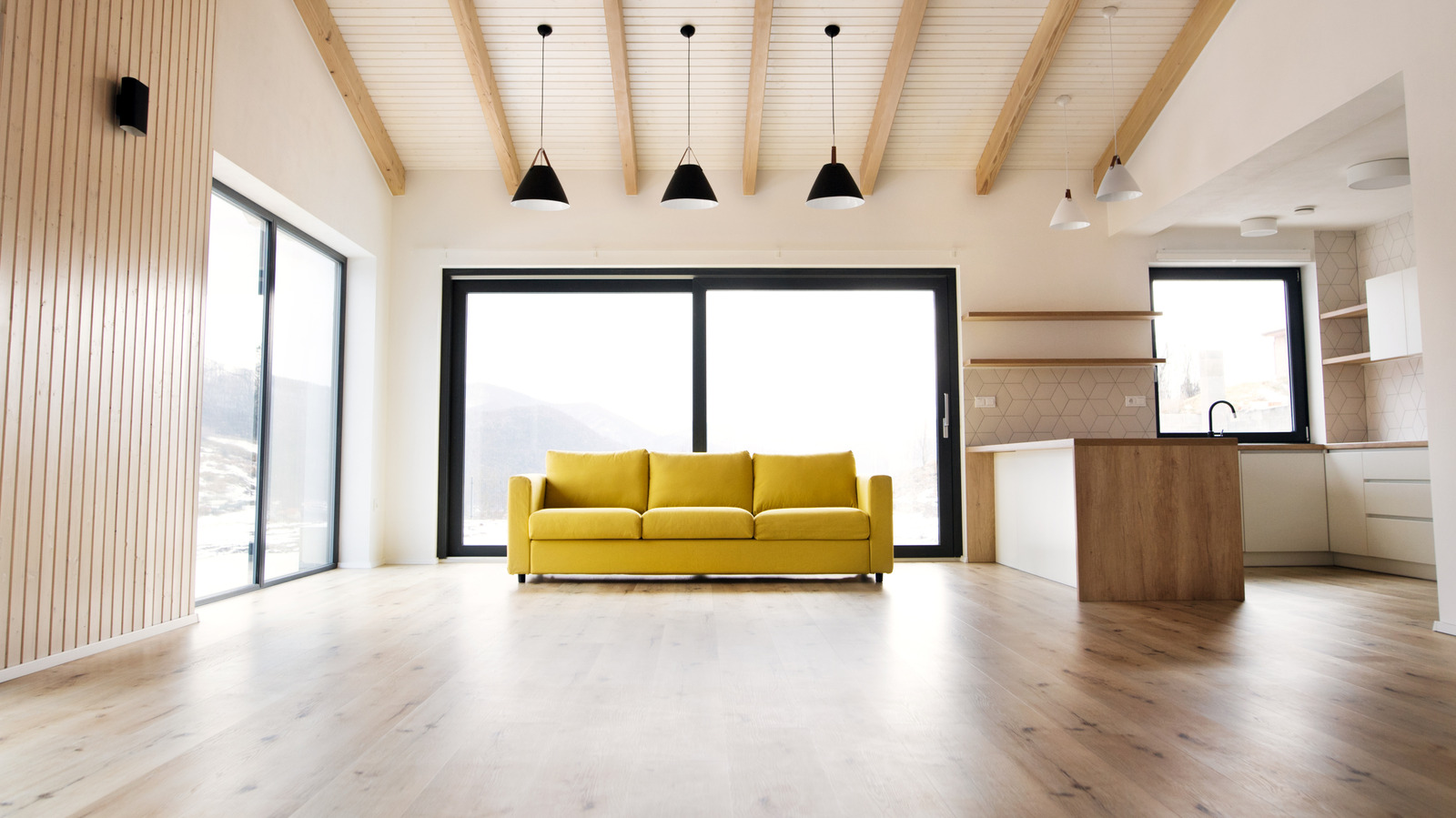 Büyük Bir Saksıda Alanı Doldurmak İçin Kullanılacak En İyi İç Mekan Bitkileri