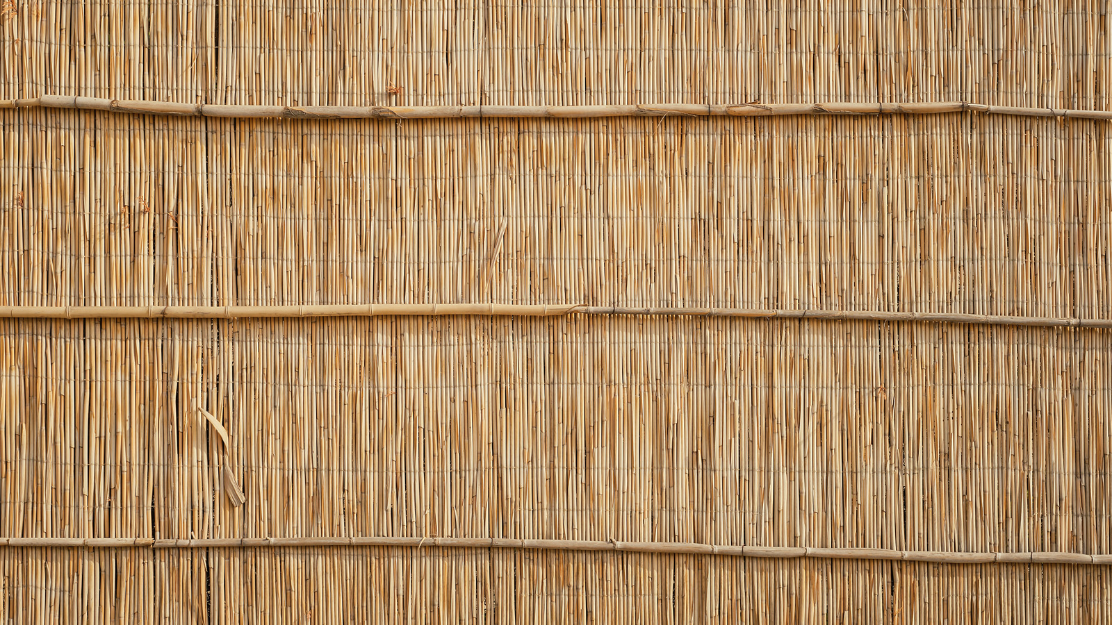 Reed eskrim nasıl korunur (ve kaçınılması gereken ortak bakım hataları)