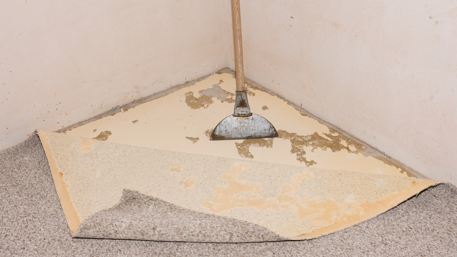 İnatçı halı tutkalını kaldırmak için ipuçları ve püf noktaları