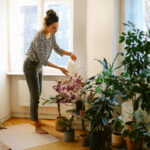 İnce bir renk sıçraması için içeride büyüyebileceğiniz nadir ok başlığı bitkisi