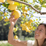Bahçede limon ağaçları ile dikmeniz gereken parlak ve güzel çiçek
