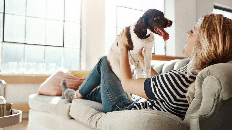 Bir kadın köpeği ile küçük bir kanepede salınır