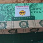 Ayın Yeni Kesme Çiçeği Kulübünün Çıkarılması: Bu Blooms'a göz atın