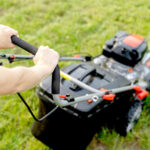 Renkli bir çim için çim alternatifi olarak harika güzel mor zemin örtüsü