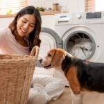 Çamaşırhaneden önce evcil hayvan saçlarını giysilerden çıkarmak için önemli neden