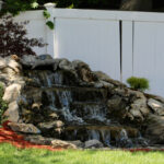 Kuşların bahçenizde direnemeyeceği hızlı büyüyen gizlilik ağacı