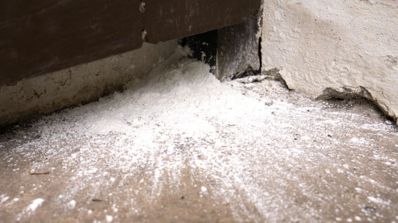 Kaldırımın beton bir duvarla buluştuğu köşeye dağılmış pestisit tozu