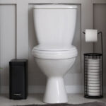 Tuvalet asasını yerden almak için akıllı temiz banyo hack