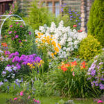 Daha fazla kuşu bahçenizi ziyaret etmeye teşvik edecek neşeli uzun çiçek açan çiçek