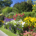 Bir bahçe dikerken renk neden önemlidir (önlemek için & 2 renk)