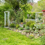 Bahar bahçenizi yükseltecek kabarık beyaz çiçeklerle kokulu çalı