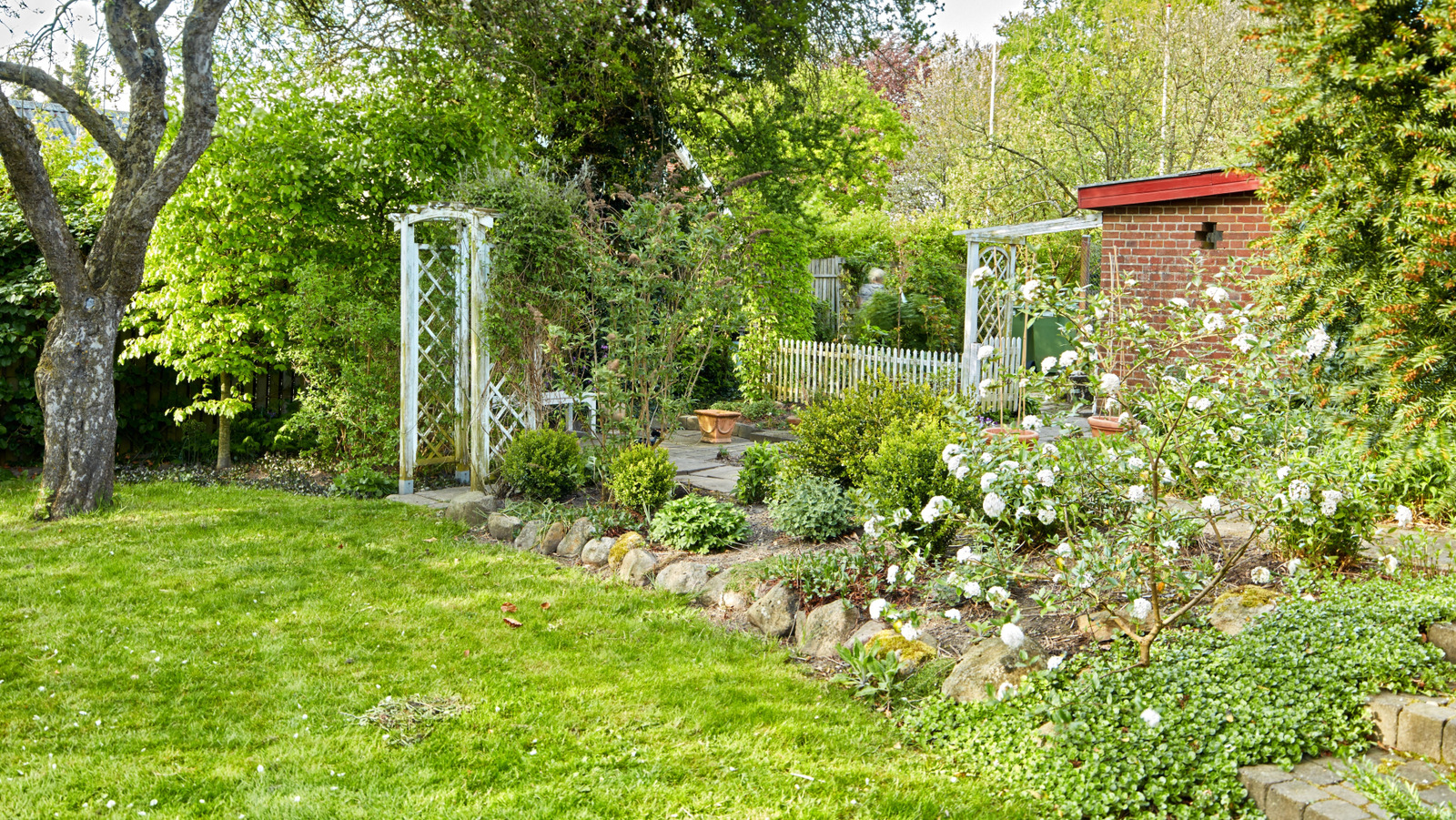 Bahar bahçenizi yükseltecek kabarık beyaz çiçeklerle kokulu çalı