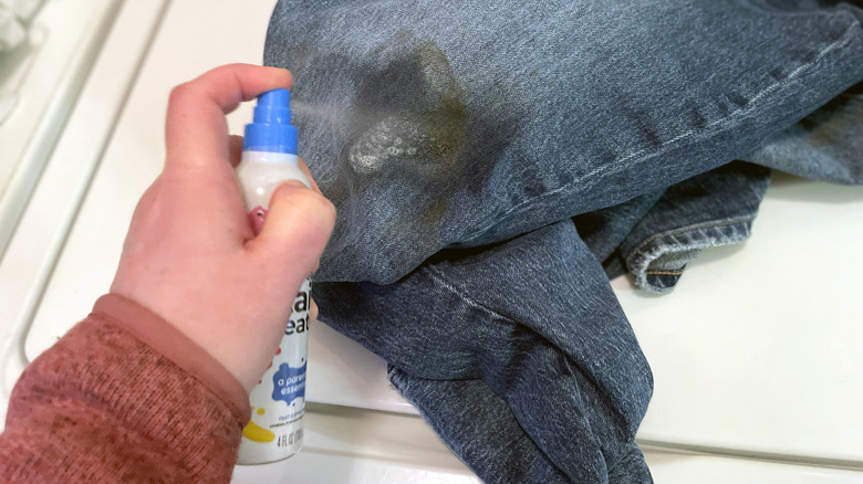 Miss Mouth'un Dağınık Eater Leke Treater, kir ve çim lekesi olan kot pantolonlara püskürtülür