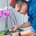 Değerli orkidelerden kaçınmak için sulama hatası