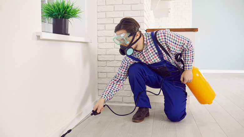 Bir evi tedavi eden bir yok edici