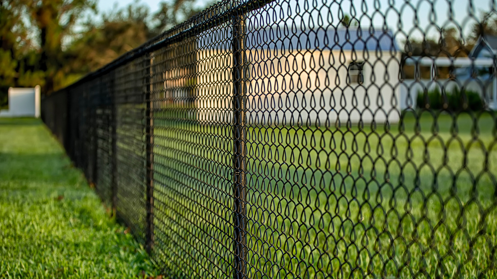 Neden siyah zincir bağlantı çiti bazen ahşaptan daha iyidir?