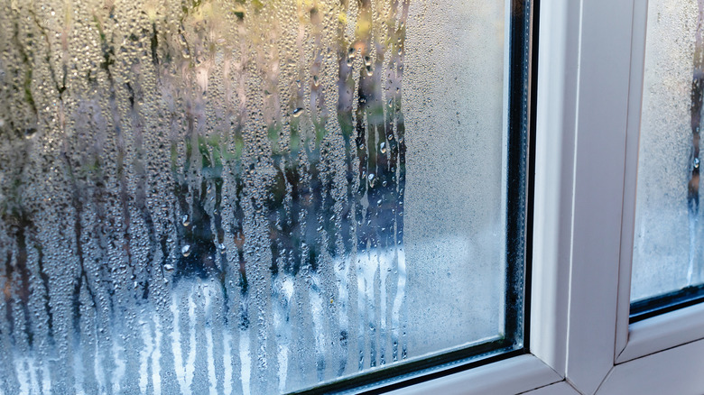 Yağmurlu pencere ve üzerinde yoğunlaşma