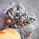 Bahçenize çakıl koymak için en kötü yer