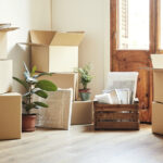 Patates bitkilerinin doyurucu bir mahsulünü toplamak için karton kutularınızı yeniden kullanın