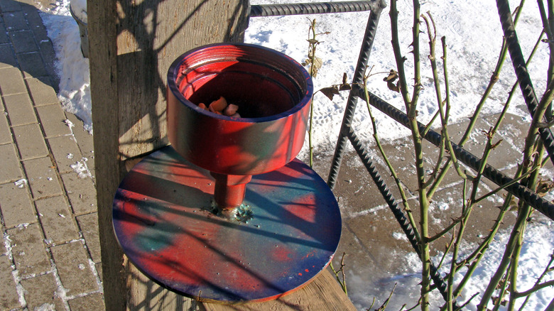 Bir kuş besleyicisine dönüştürülmüş bir kül tablası