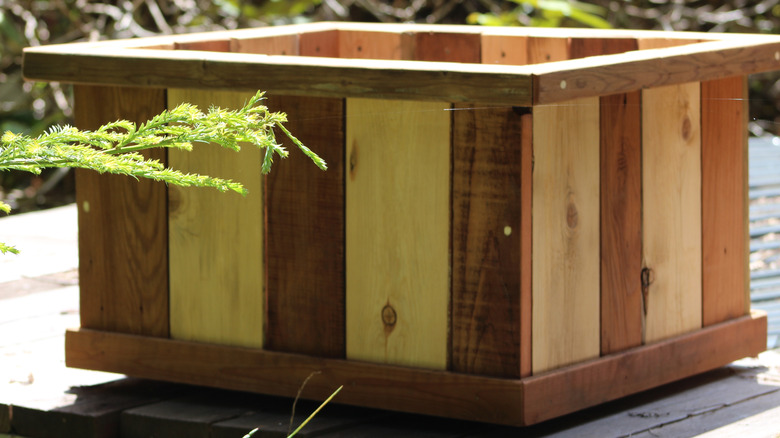 Sedir ve Redwood Sittingon A Geck'ten yapılmış bir kare ekici kutusu