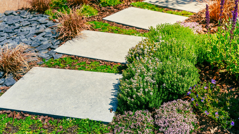 Bir döküntü yolu, yerli bitkilerle dolu bir bahçeden geçer.