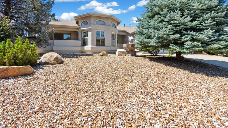 Bir ön bahçe çakıl taşları ve küçük bitki örtüsü ile doldurulur.