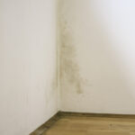 Yağmurdan sonra nemli duvarlarla mücadele etmek için hızlı ve etkili çözümler