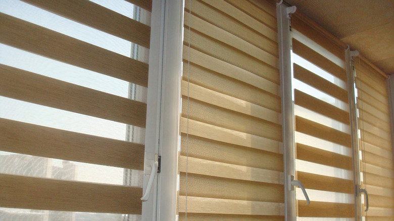 Zebra gölgeli bir pencere duvarı