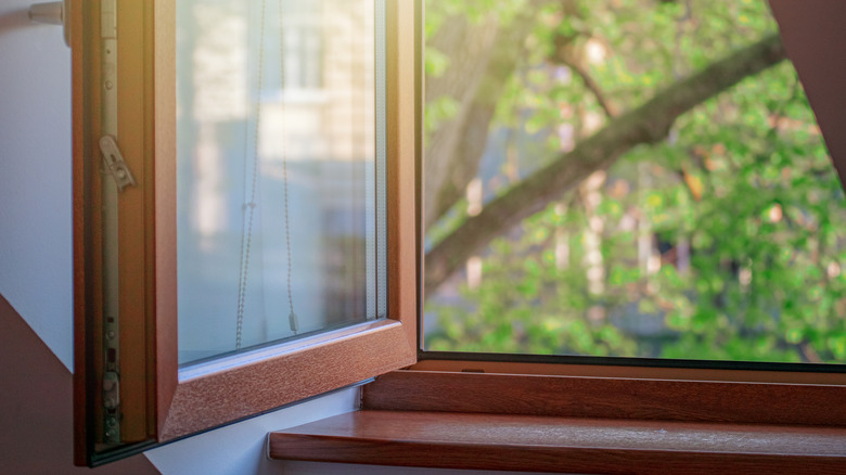 Bir ağaca bakan açık ahşap bir pencere