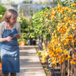 Fidanların daha fazla meyve üretmesine yardımcı olacak şaşırtıcı budama ipucu