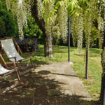 Yaşayan bir gölgelikle bahçenize doğal gölge nasıl sağlanır?