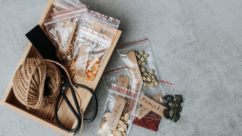 Ev tohumu depolama temelleri yumuşak gri bir yüzeyde.