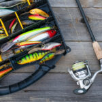 Yükseltilmiş tohum depolama ve organizasyonu için bahçedeki eski bir mücadele kutusunu yeniden kullanın