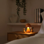 Çift mantar ile mantar lambası çılgınlığına atla