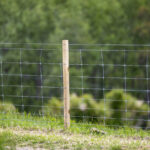 Bir kullanışlı Dewalt Aracı, alıcılara göre eskrim projeleri için bir oyun değiştiricidir.