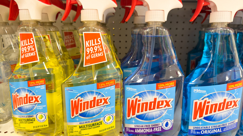 Mağaza rafında Windex şişeleri