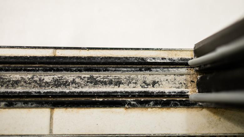 Siyah duş pistleri küflü ve güçlüdür