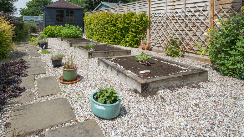 Beton Merkez Bitki Kutuları ile Çakıl Peyzajlı Arka Bahçe