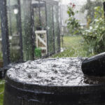 Bir yağmur varil vs. Havza: Fark nedir ve bahçeniz için doğru olan