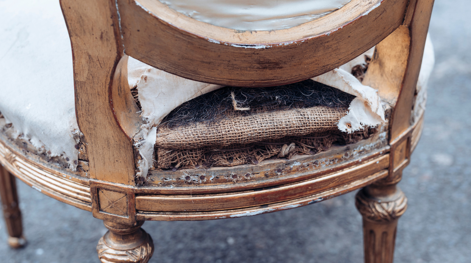 Hayatı, görünmeyen bir reupholstery ile modası geçmiş bir yemek sandalyesine nefes alın