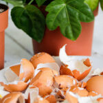 En şirin bahar saat vazolarını yapmak için yumurta kabuklarını yeniden kullanın