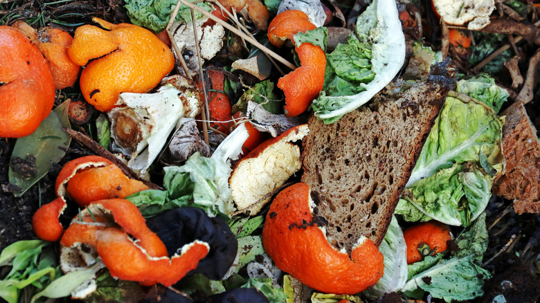 Meyve kabukları, marul ve ekmek içeren bir kompost yığını