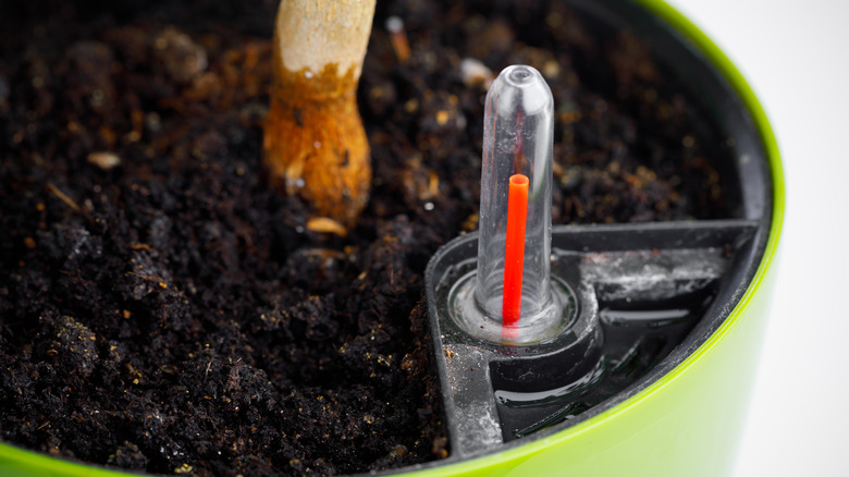 Kendini sulandıran bir ekicide toprak ve su göstergesi