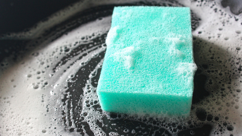 Ster ve sünger, temizlik yüzeyi ile su