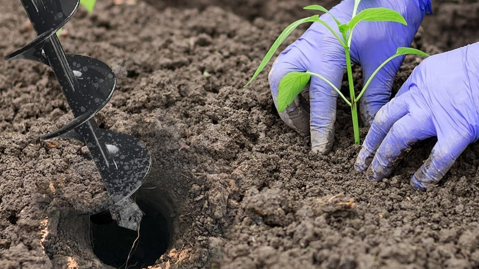 Bir bitki burgu nedir ve bir sonraki bahçe projenizi nasıl kolaylaştıracak